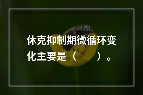 休克抑制期微循环变化主要是（　　）。