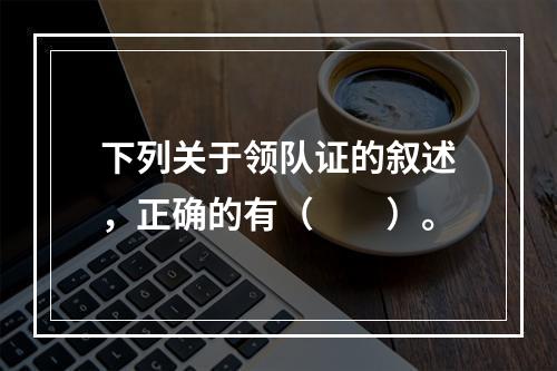 下列关于领队证的叙述，正确的有（　　）。