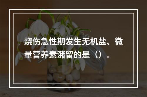 烧伤急性期发生无机盐、微量营养素潴留的是（）。