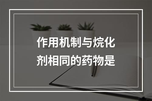 作用机制与烷化剂相同的药物是