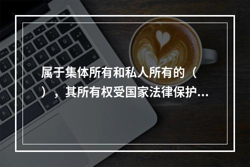 属于集体所有和私人所有的（　　），其所有权受国家法律保护。