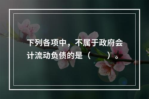 下列各项中，不属于政府会计流动负债的是（　　）。