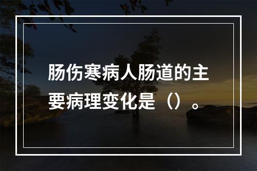 肠伤寒病人肠道的主要病理变化是（）。