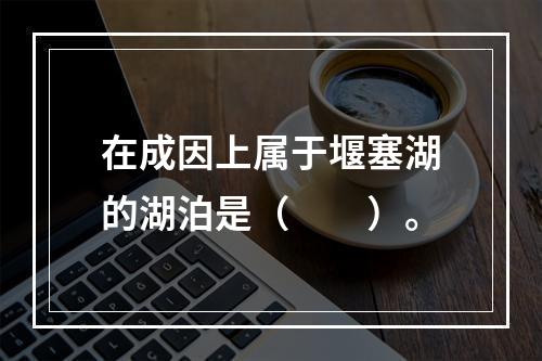 在成因上属于堰塞湖的湖泊是（　　）。