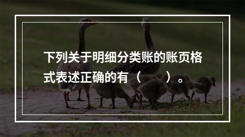 下列关于明细分类账的账页格式表述正确的有（　　）。