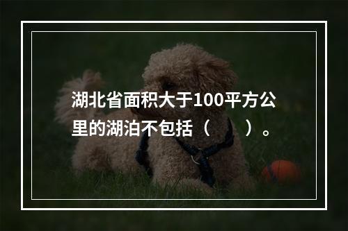 湖北省面积大于100平方公里的湖泊不包括（　　）。