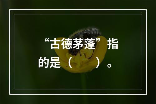 “古德茅蓬”指的是（　　）。