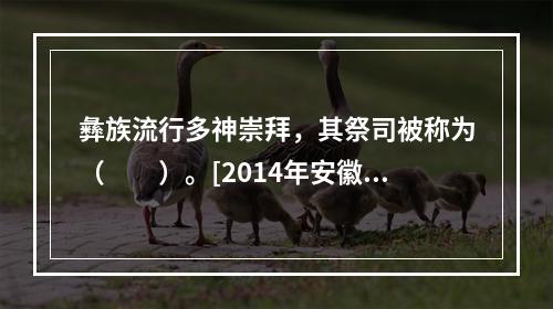 彝族流行多神崇拜，其祭司被称为（　　）。[2014年安徽真