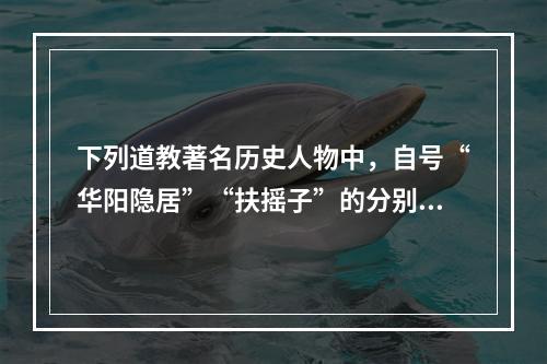 下列道教著名历史人物中，自号“华阳隐居”“扶摇子”的分别是