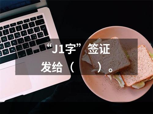 “J1字”签证发给（　　）。