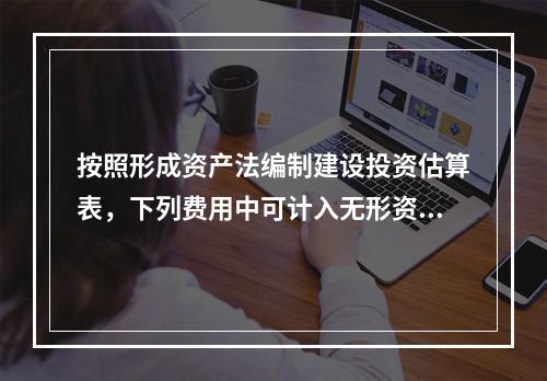 按照形成资产法编制建设投资估算表，下列费用中可计入无形资产