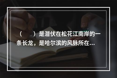 （　　）是潜伏在松花江南岸的一条长龙，是哈尔滨的风脉所在。