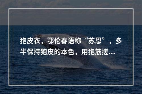 狍皮衣，鄂伦春语称“苏恩”，多半保持狍皮的本色，用狍筋搓成