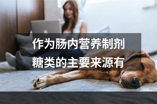 作为肠内营养制剂糖类的主要来源有