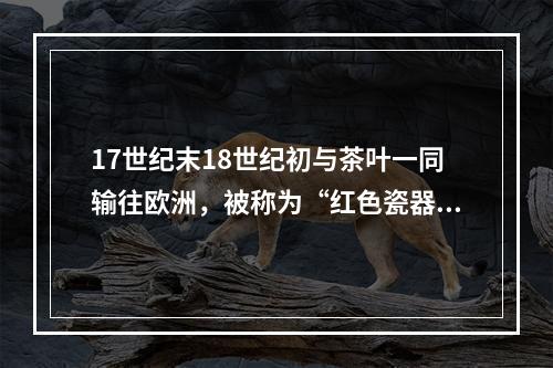 17世纪末18世纪初与茶叶一同输往欧洲，被称为“红色瓷器”