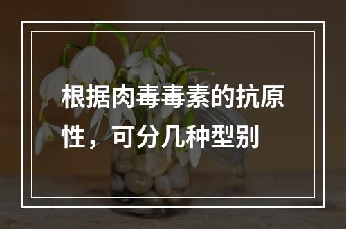 根据肉毒毒素的抗原性，可分几种型别