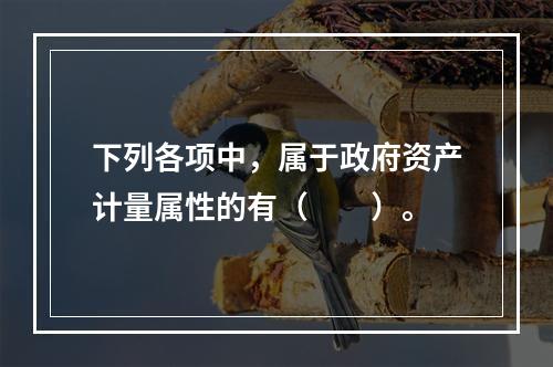 下列各项中，属于政府资产计量属性的有（　　）。