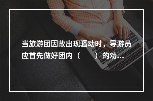 当旅游团因故出现骚动时，导游员应首先做好团内（　　）的劝导