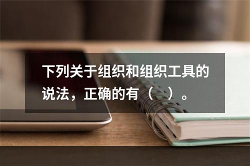 下列关于组织和组织工具的说法，正确的有（　）。