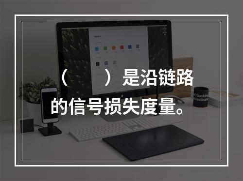 （　　）是沿链路的信号损失度量。