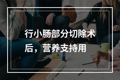 行小肠部分切除术后，营养支持用