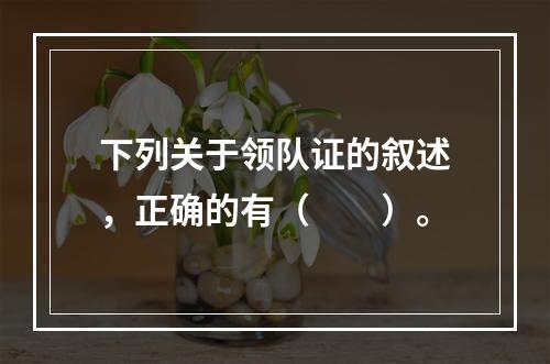 下列关于领队证的叙述，正确的有（　　）。