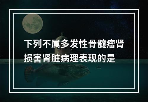 下列不属多发性骨髓瘤肾损害肾脏病理表现的是