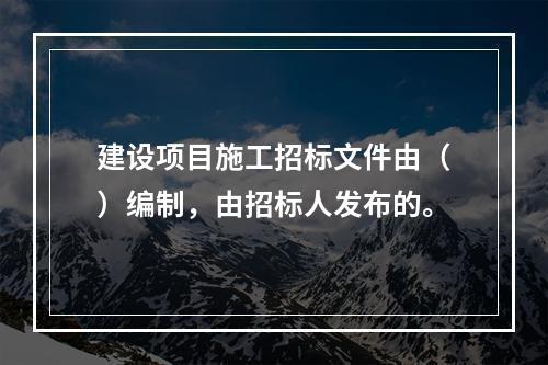 建设项目施工招标文件由（）编制，由招标人发布的。