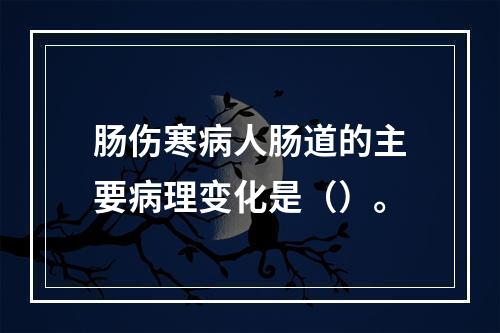 肠伤寒病人肠道的主要病理变化是（）。