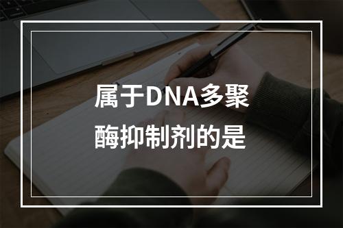 属于DNA多聚酶抑制剂的是