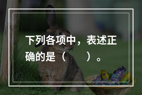 下列各项中，表述正确的是（　　）。