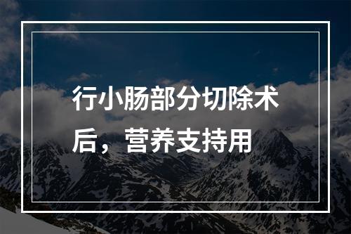 行小肠部分切除术后，营养支持用