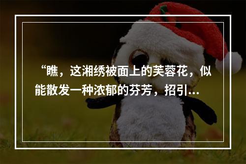 “瞧，这湘绣被面上的芙蓉花，似能散发一种浓郁的芬芳，招引着