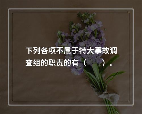 下列各项不属于特大事故调查组的职责的有（　　）。