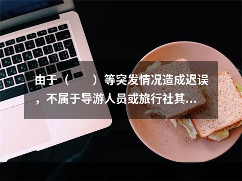 由于（　　）等突发情况造成迟误，不属于导游人员或旅行社其他