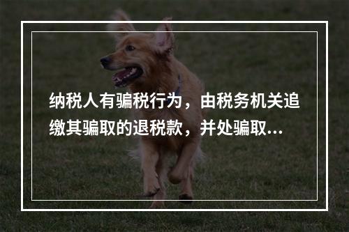 纳税人有骗税行为，由税务机关追缴其骗取的退税款，并处骗取税款