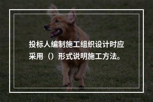 投标人编制施工组织设计时应采用（）形式说明施工方法。