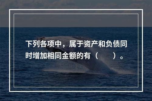 下列各项中，属于资产和负债同时增加相同金额的有（　　）。