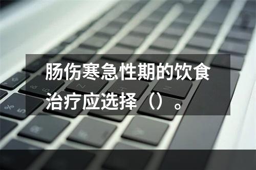 肠伤寒急性期的饮食治疗应选择（）。