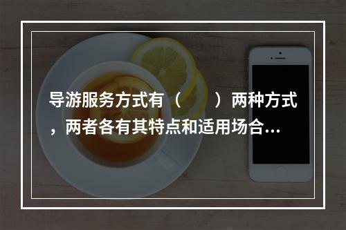 导游服务方式有（　　）两种方式，两者各有其特点和适用场合，