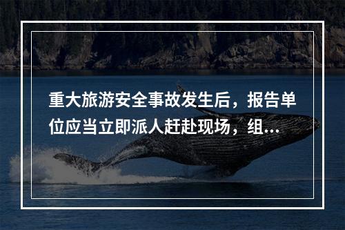 重大旅游安全事故发生后，报告单位应当立即派人赶赴现场，组织抢