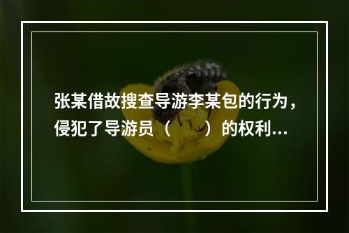 张某借故搜查导游李某包的行为，侵犯了导游员（　　）的权利。