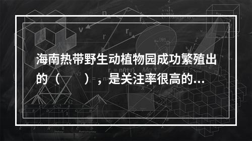 海南热带野生动植物园成功繁殖出的（　　），是关注率很高的动