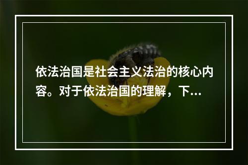 依法治国是社会主义法治的核心内容。对于依法治国的理解，下列