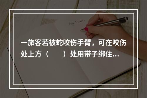 一旅客若被蛇咬伤手臂，可在咬伤处上方（　　）处用带子绑住。