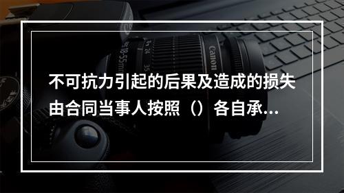 不可抗力引起的后果及造成的损失由合同当事人按照（）各自承担。