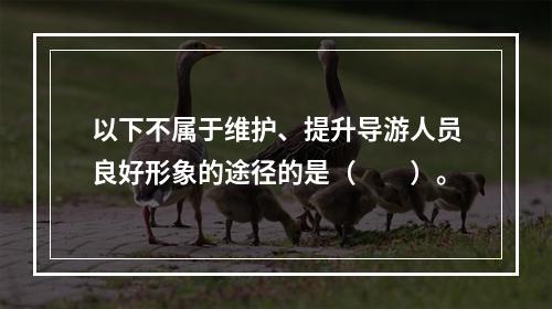 以下不属于维护、提升导游人员良好形象的途径的是（　　）。