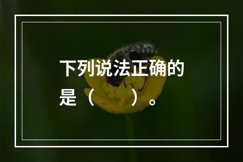 下列说法正确的是（　　）。