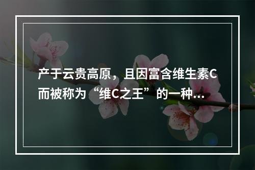 产于云贵高原，且因富含维生素C而被称为“维C之王”的一种特