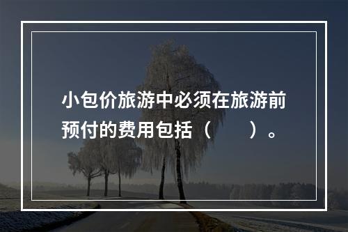 小包价旅游中必须在旅游前预付的费用包括（　　）。